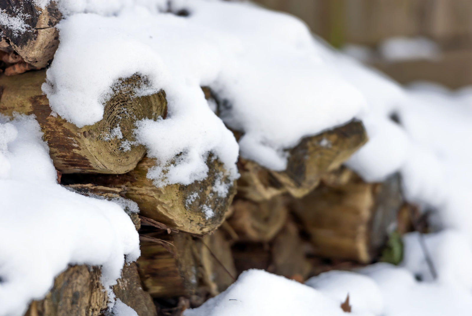 Schnee auf Holz