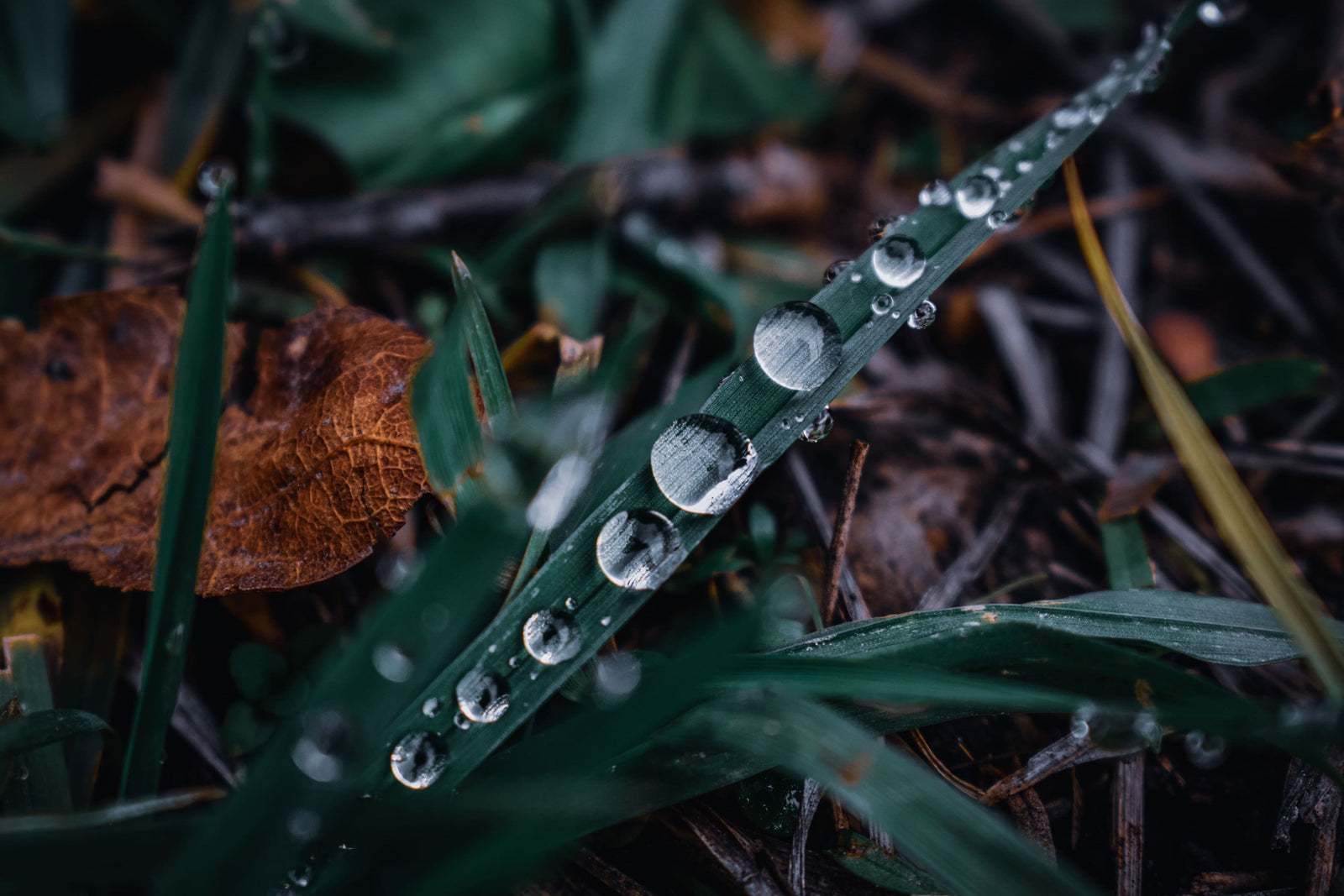 Wetterbedingungen bei der Jagd