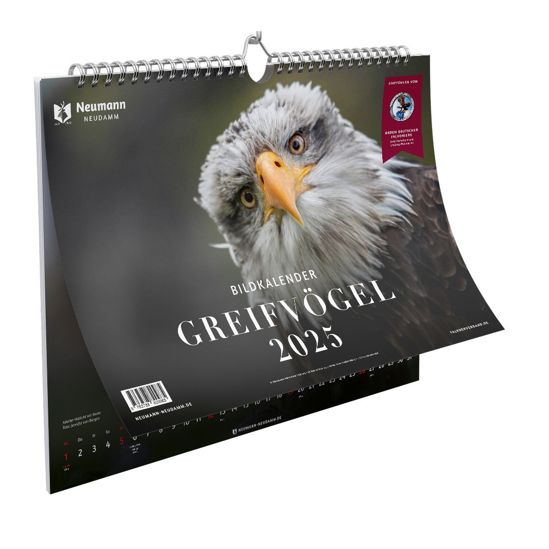 Greifvögel Kalender 2025