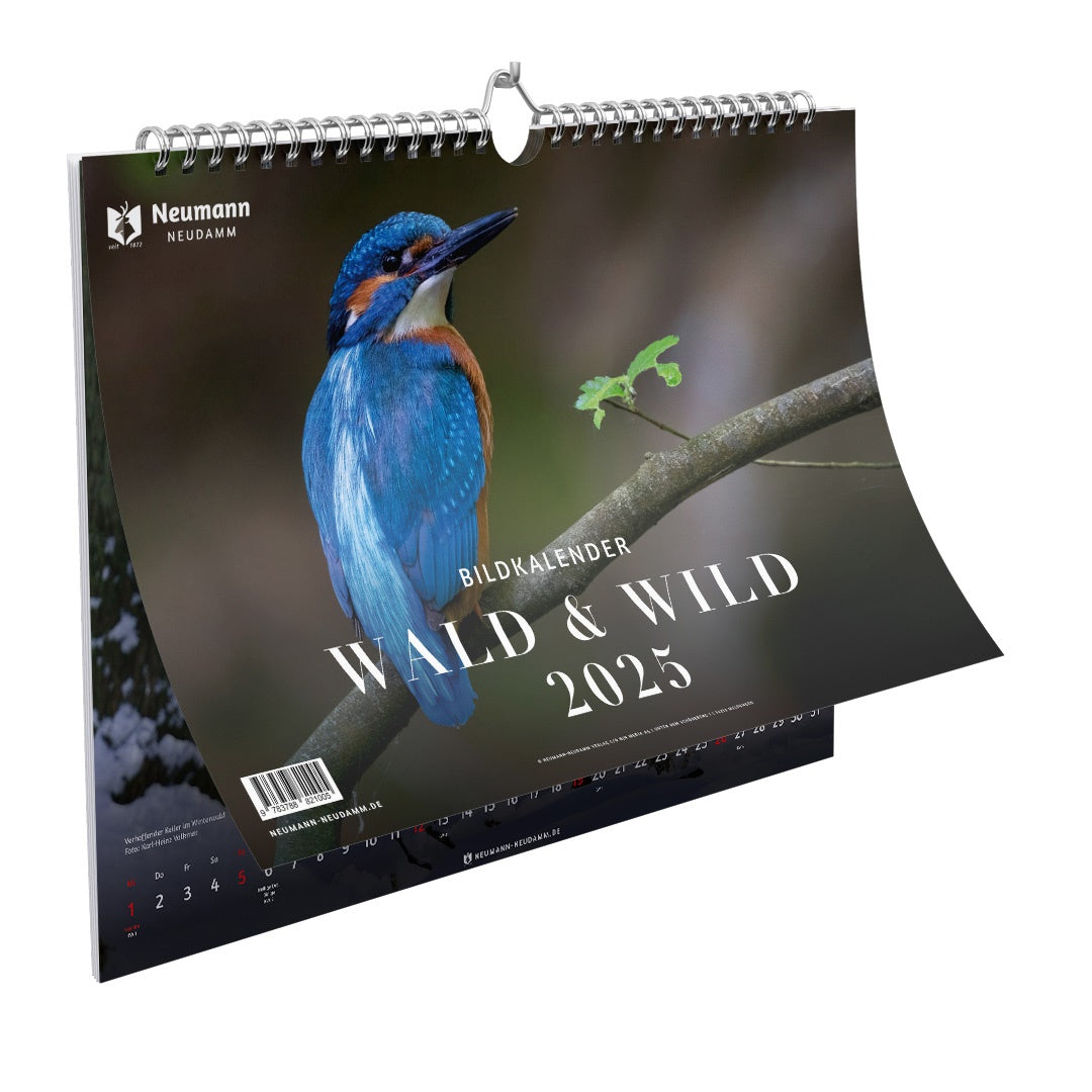 Wald & Wild Kalender 2025