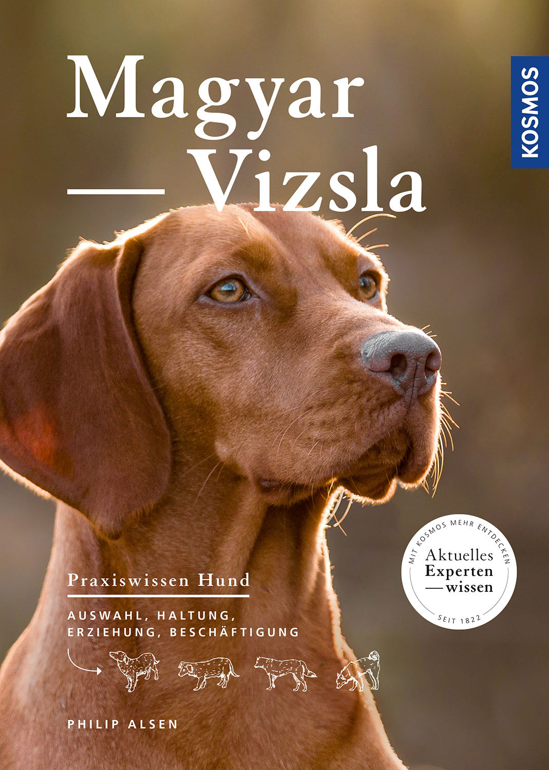 Magyar Vizsla, Alsen