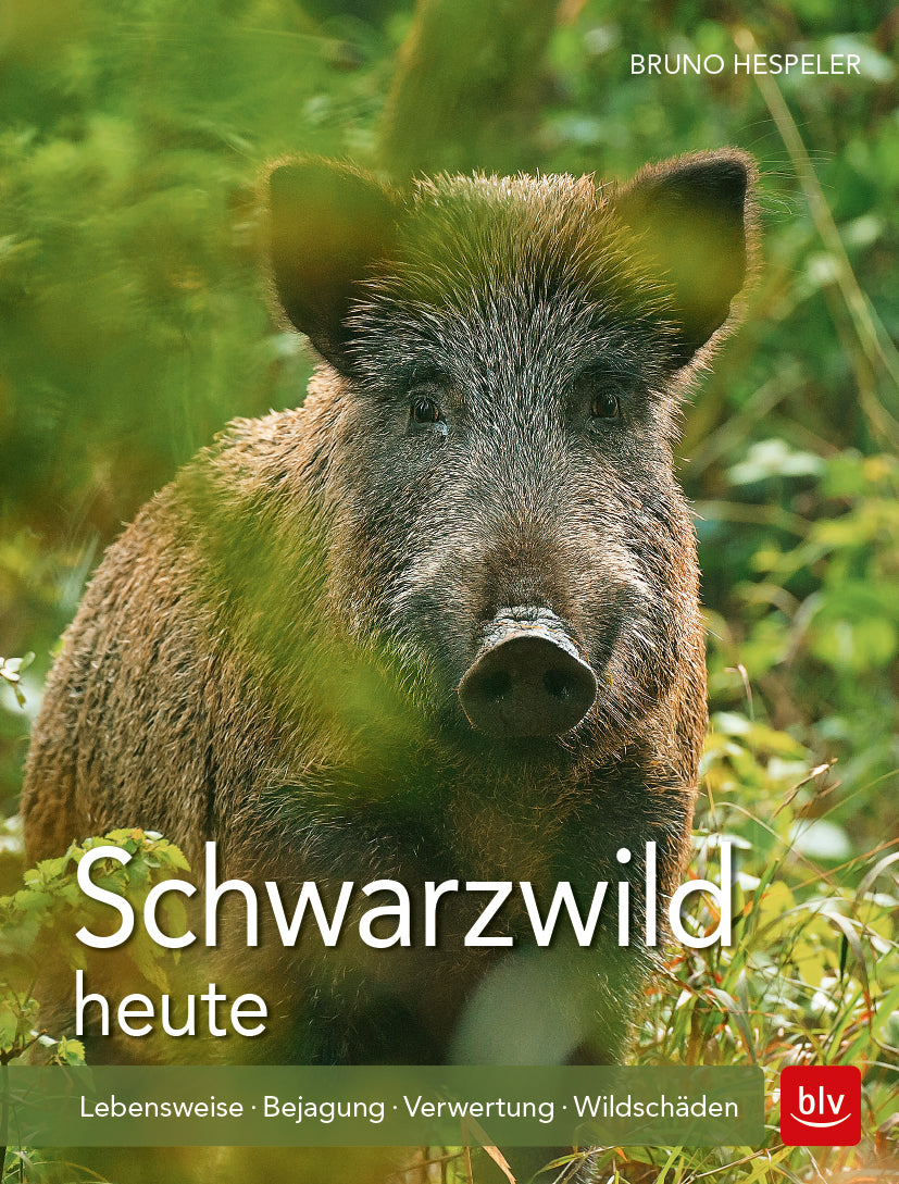 Schwarzwild heute, Hespeler