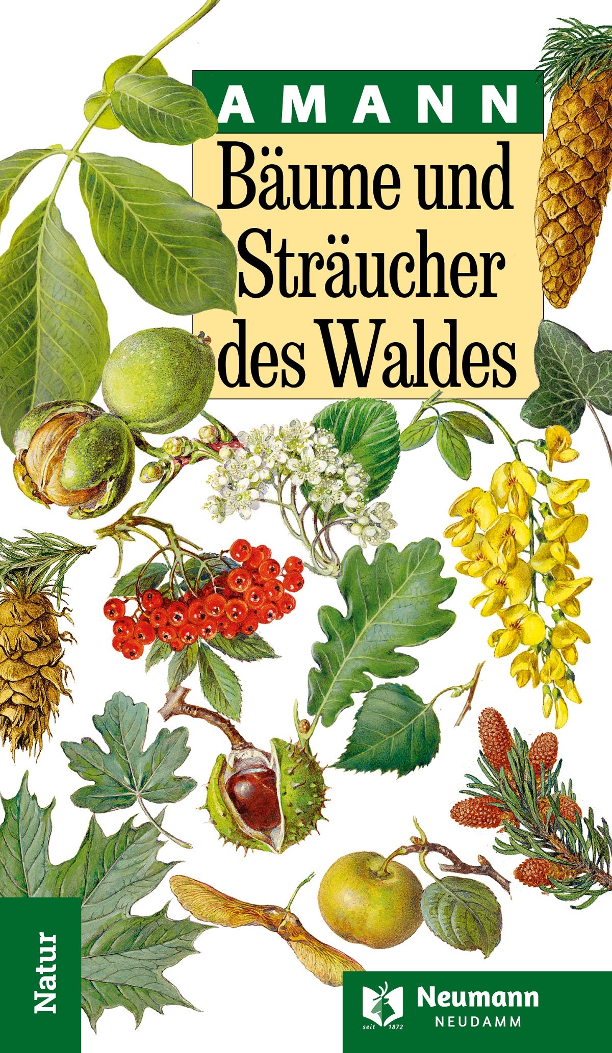 Bäume und Sträucher des Waldes, Amann