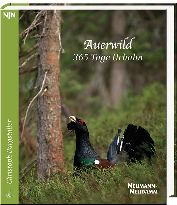 Auerwild - 365 Tage Urhahn, Burgstaller