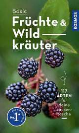 Basic Früchte & Wildkräuter, Dreyer