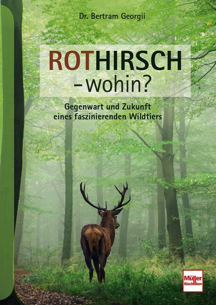 Rothirsch - Wohin?, Georgii