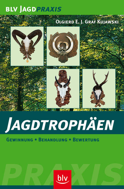 Jagdtrophäen, Kujawski