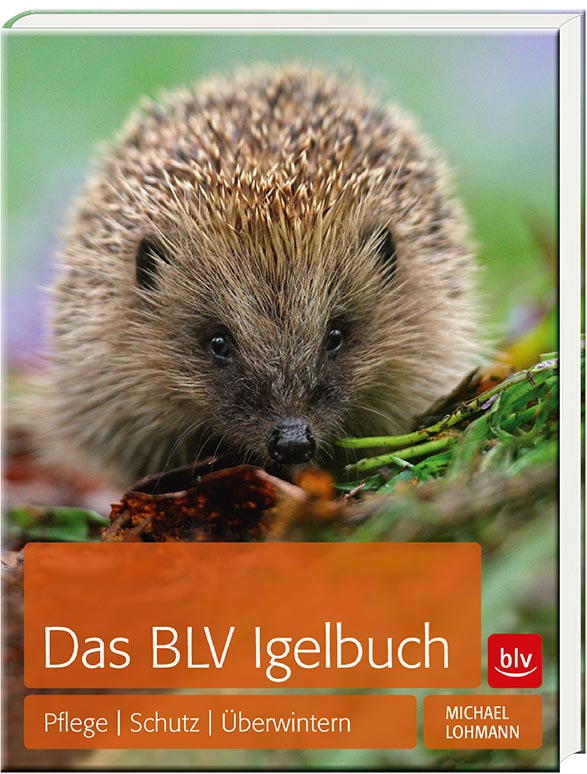 Das BLV Igelbuch, Lohmann