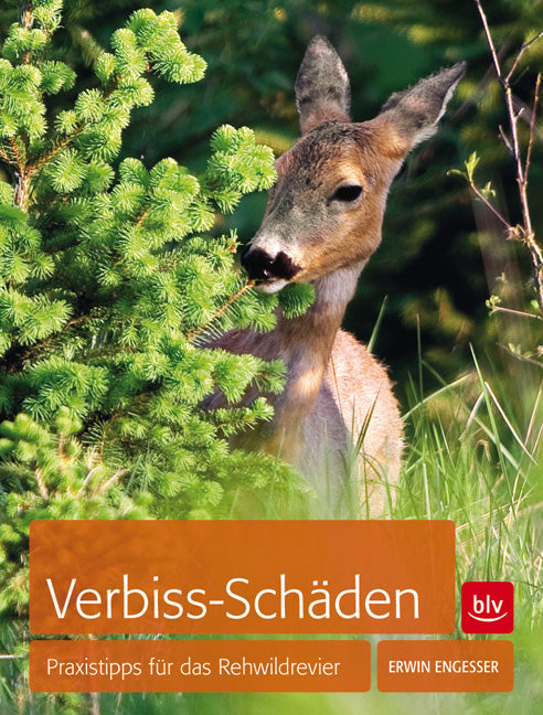 Verbiss-Schäden, Engeßer