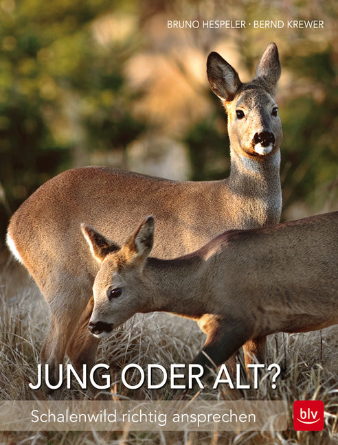 Jung oder Alt? - Hespeler