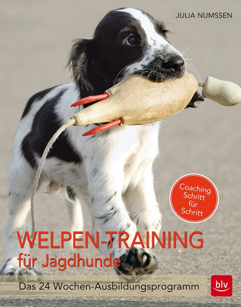 Welpen-Training für Jagdhunde, Numssen