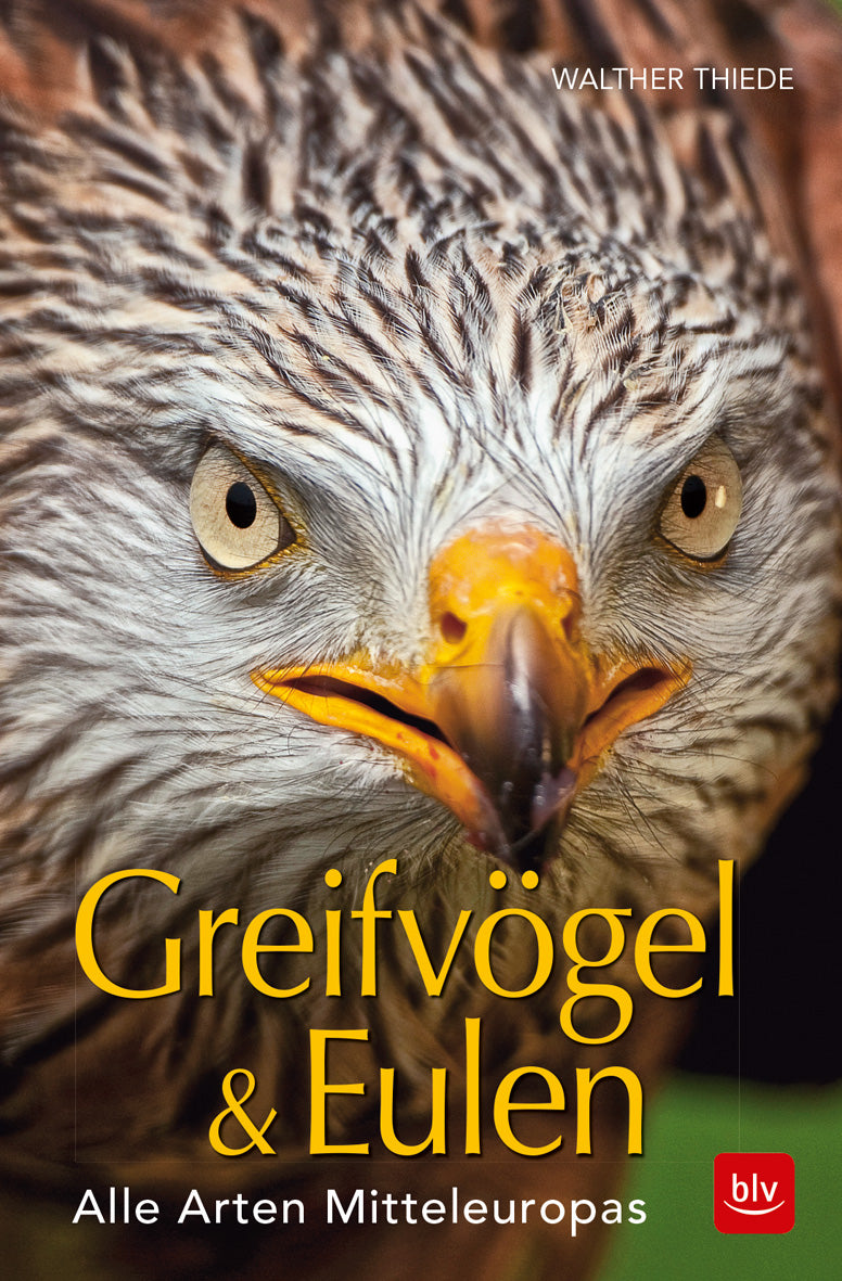 Greifvögel & Eulen