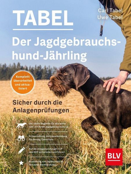 Der Jagdgebrauchshund-Jährling