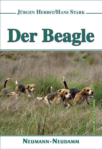 Der Beagle, Herbst/Stark