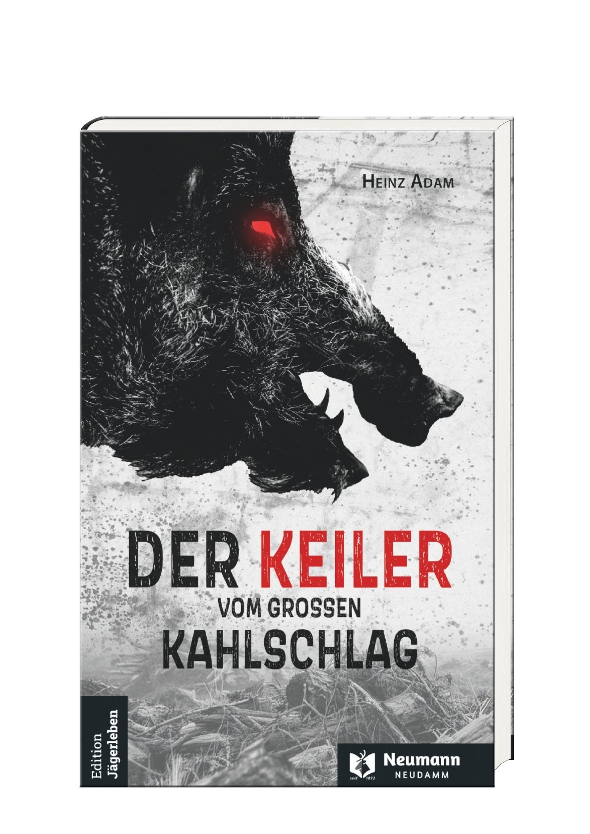 Der Keiler vom Großen Kahlschlag -