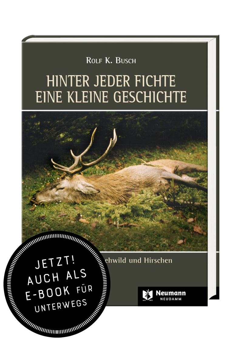 Busch, Hinter jeder Fichte eine kleine