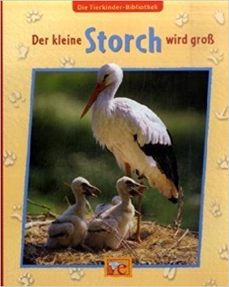 Der kleine Storch wird groß