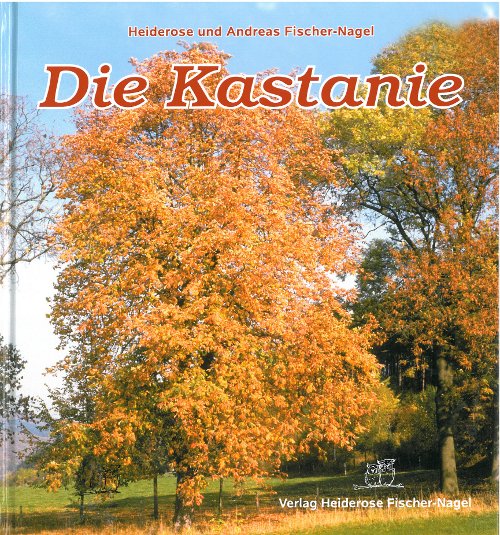 Fischer-Nagel, Die Kastanie