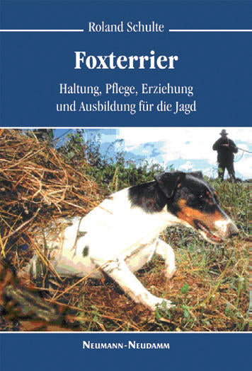 Foxterrier, Schulte