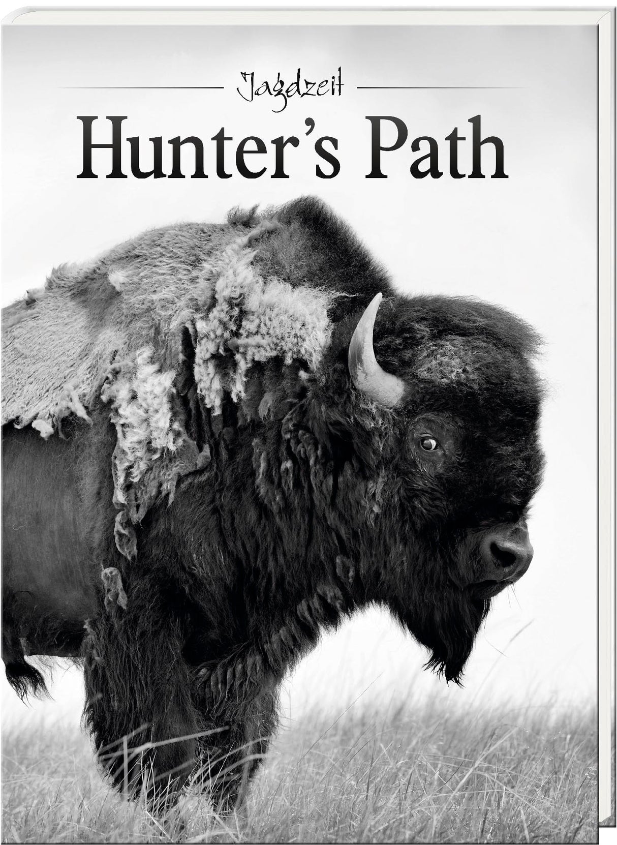 Hunter's Path No. 17