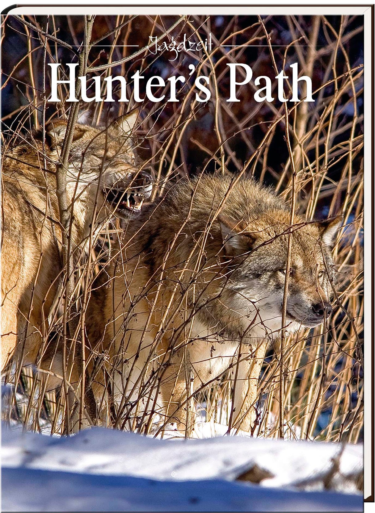 Hunter's Path No. 18