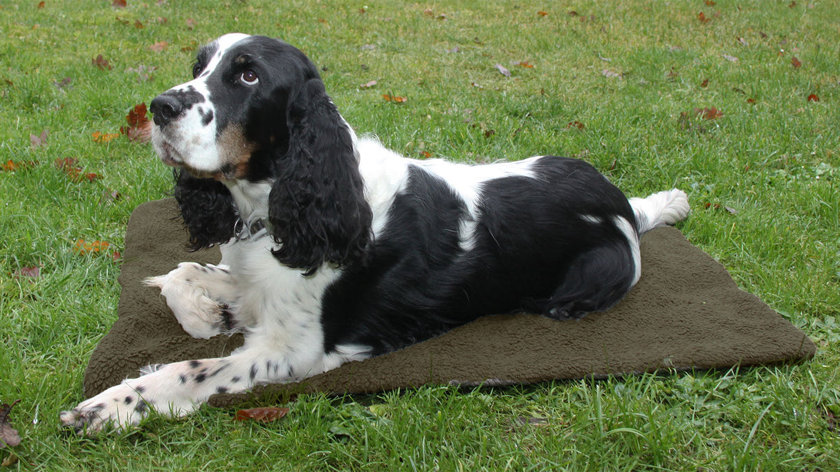 SHOOTERKING HUNDE-THERMOBETT