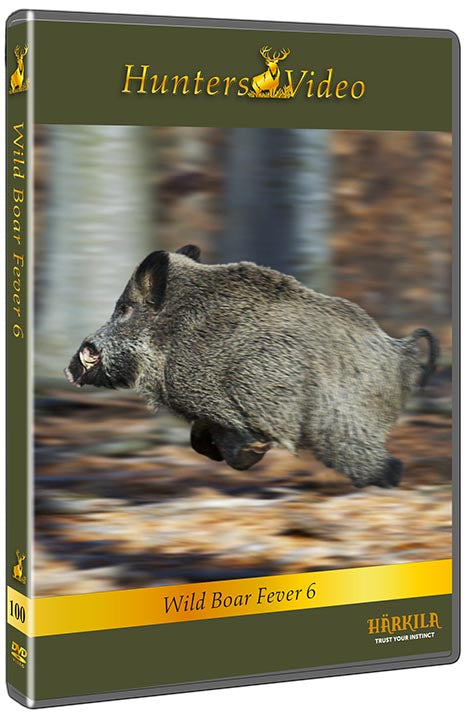 Hunters DVD 100, Schwarzwildfieber 6