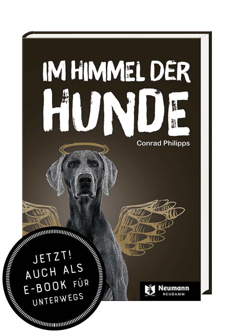 Im Himmel der Hunde, Philipps