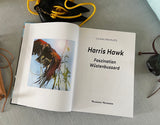 Niehues, Harris Hawk