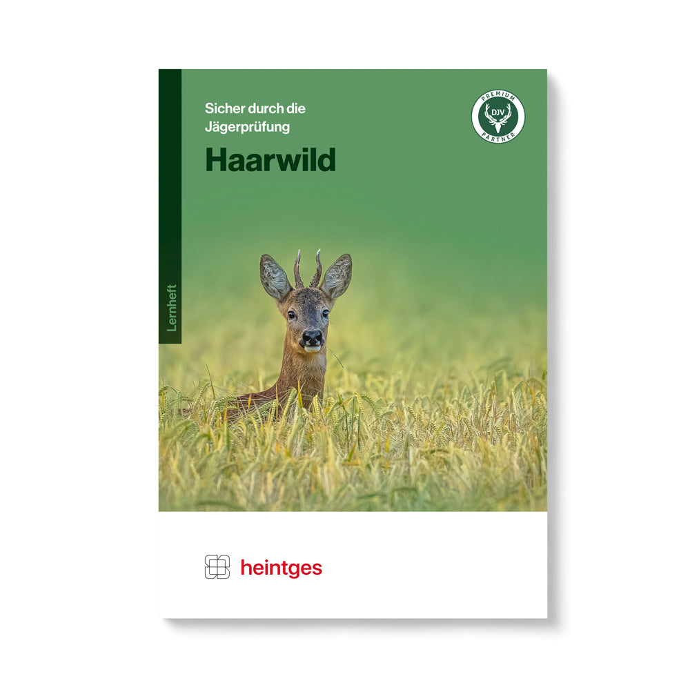 Heintges Haarwild Arbeitsblätter