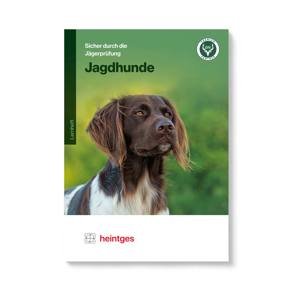 Heintges Jagdhunde