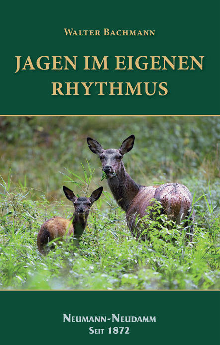 Jagen im eigenen Rythmus, Bachmann