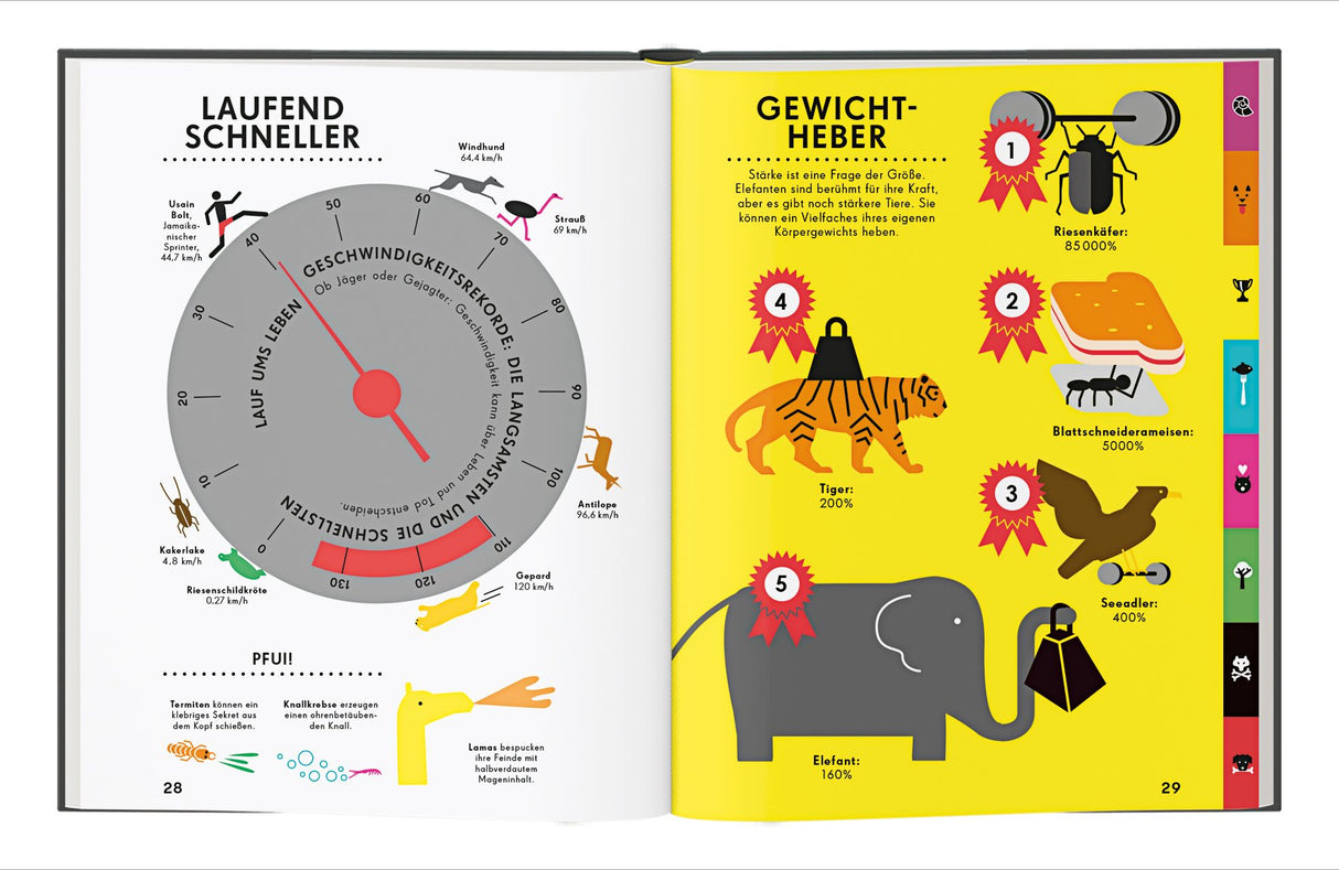 Blechmann, Die Welt der Tiere: Sehen und