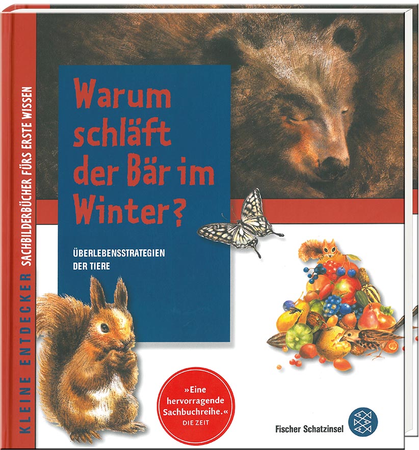 Warum schläft der Bär im Winter?