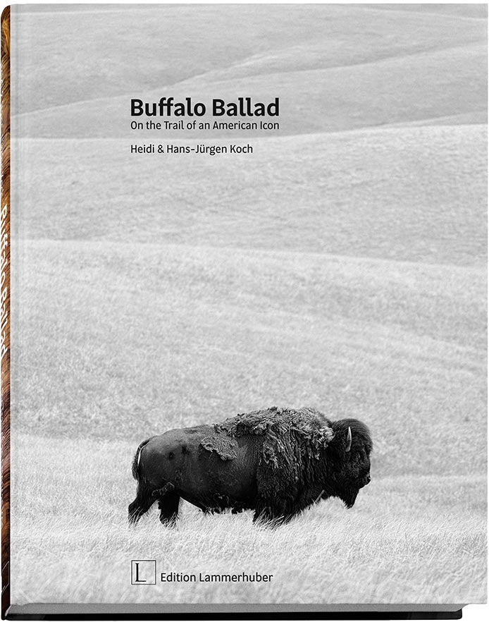 Koch, Buffalo Ballad