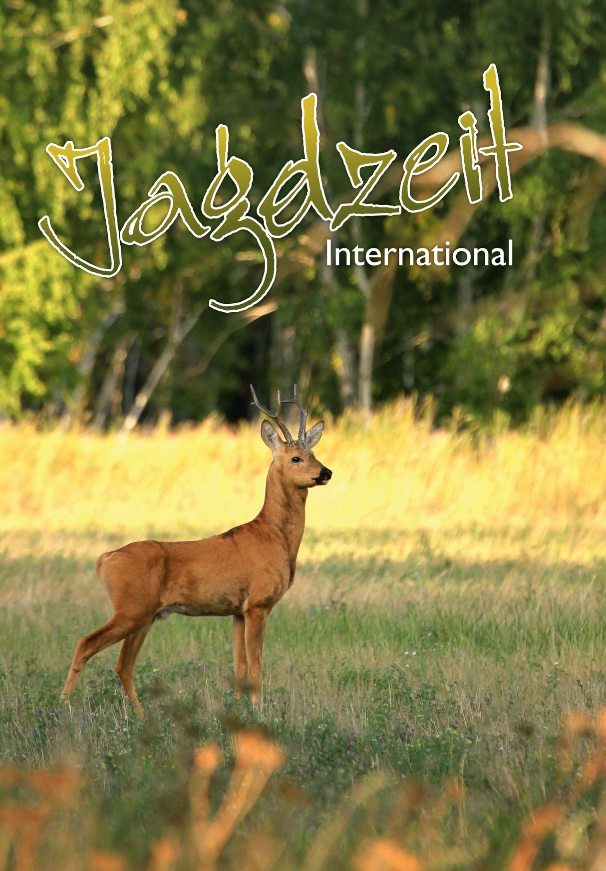 Jagdzeit Ausgabe 15