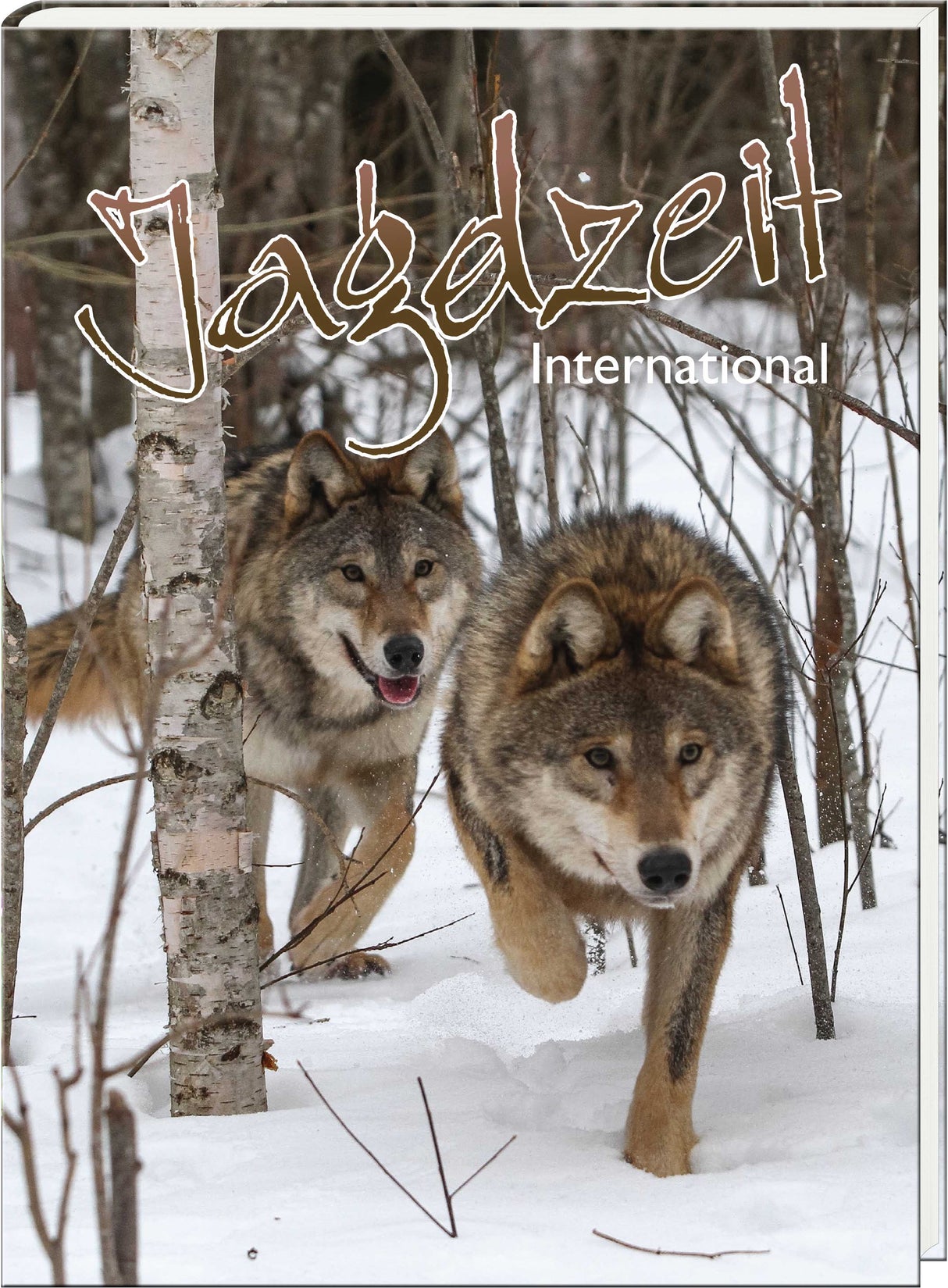 Jagdzeit Ausgabe 35