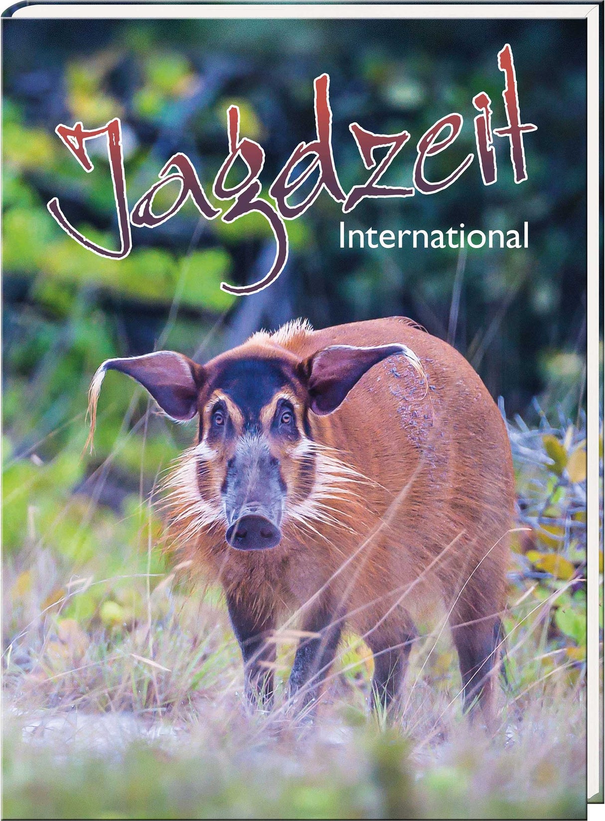 Jagdzeit Ausgabe 39