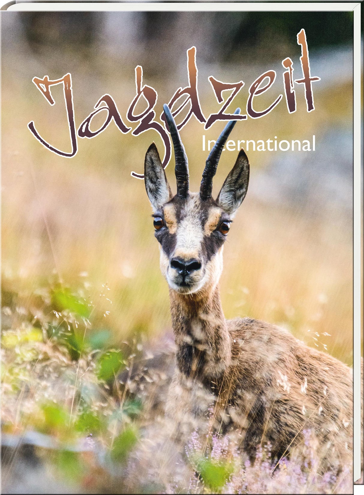 Jagdzeit Ausgabe 40