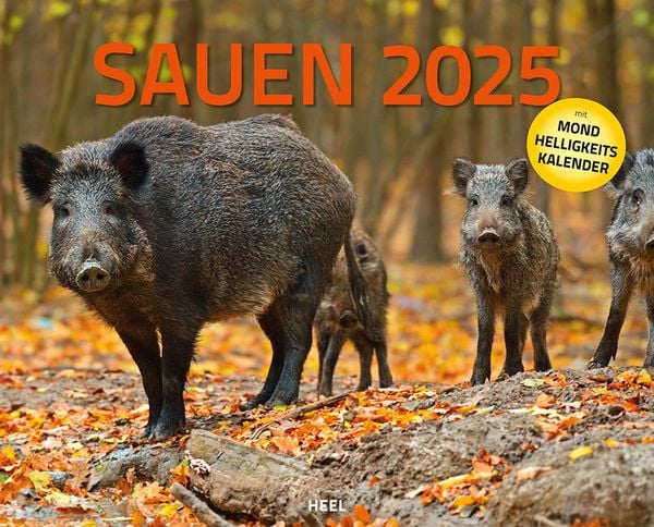 Kalender Sauen 2025