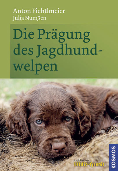 Die Prägung des Jagdhundewelpen,