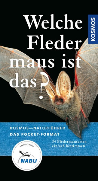 Welche Fledermaus ist das? - Richarz