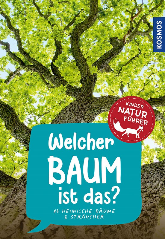 Haag, Welcher Baum ist das?