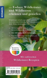 Essbare Wildkräuter und Wildbeeren für