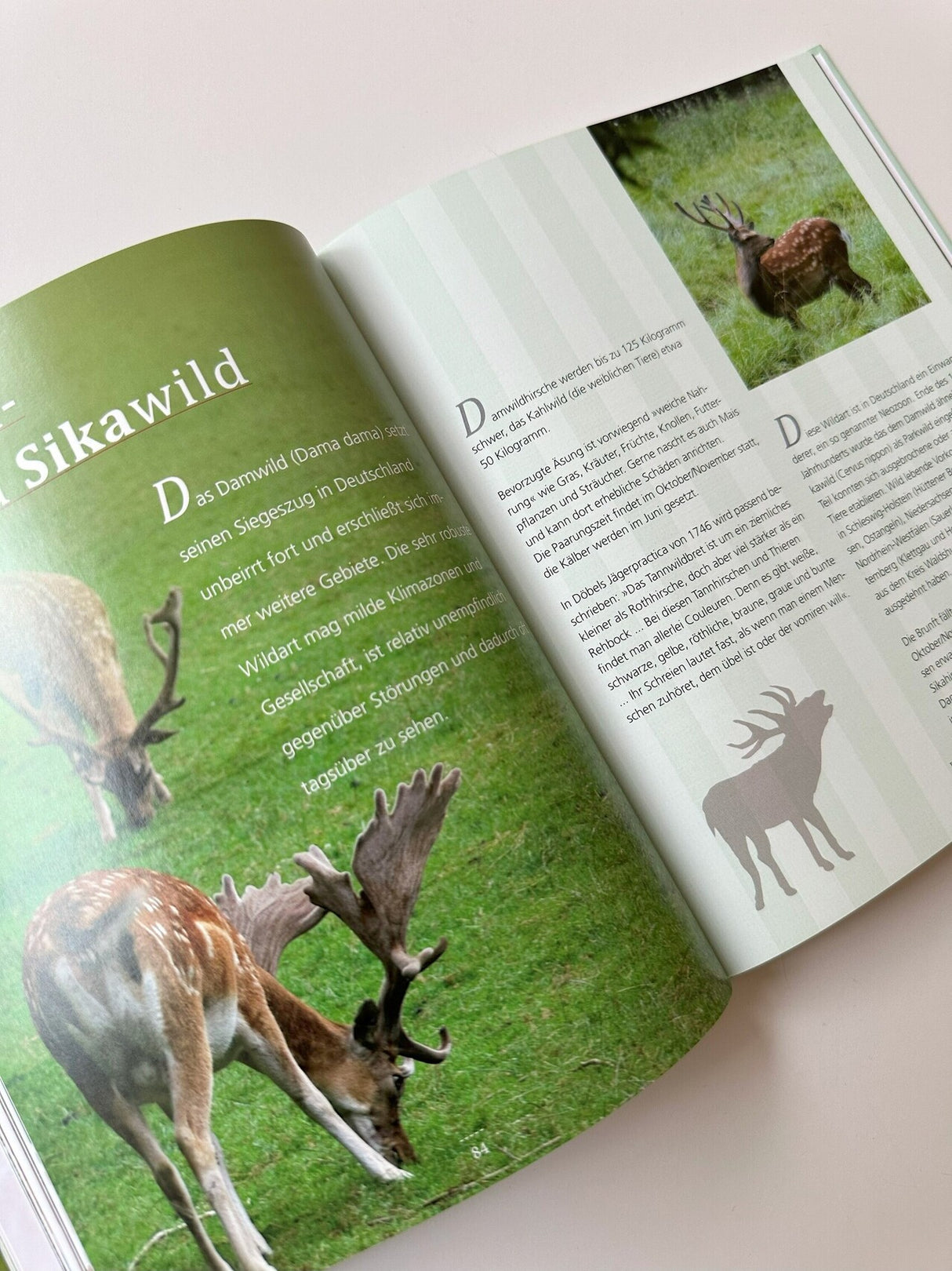 Einfach Wild - Das Wildkochbuch