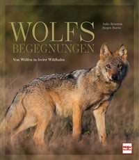 Wolfsbegegnungen, Bensten/Borris