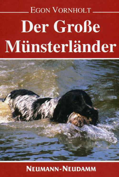 Der große Münsterländer - Vornholt