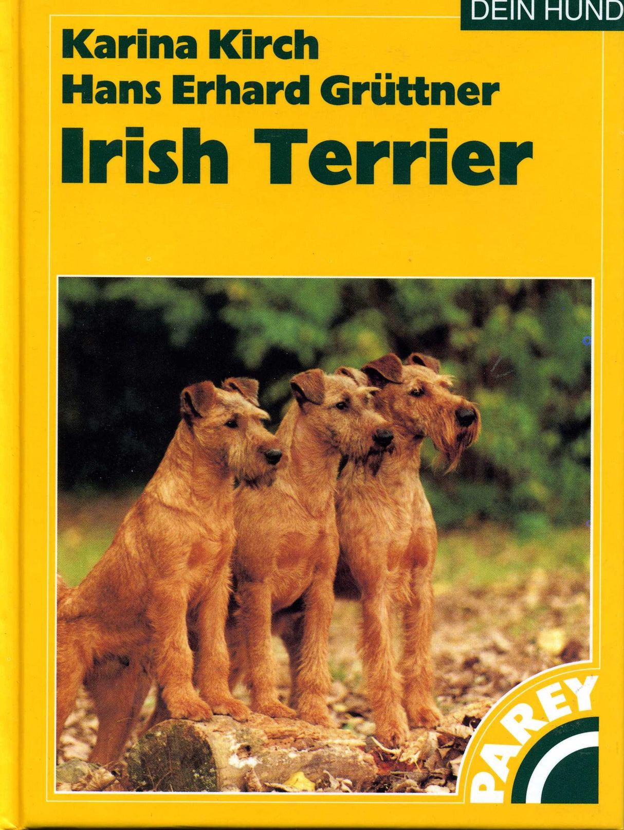 Irish Terrier, Kirch/Grüttner