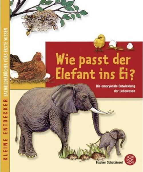 Kim, Wie passt der Elefant ins Ei?