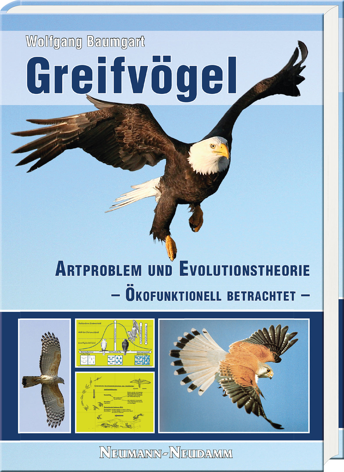 Greifvögel, Baumgart